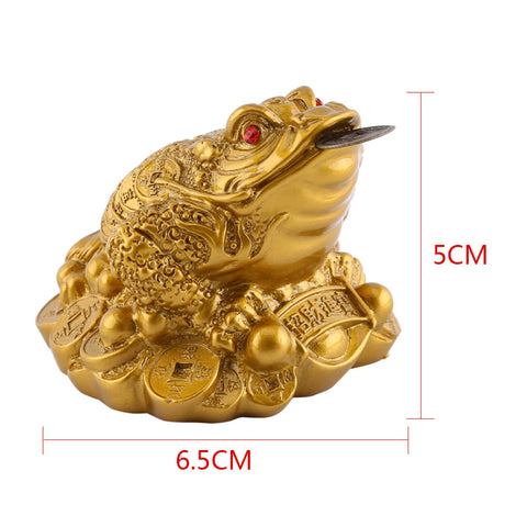 Lucky Money Fortune